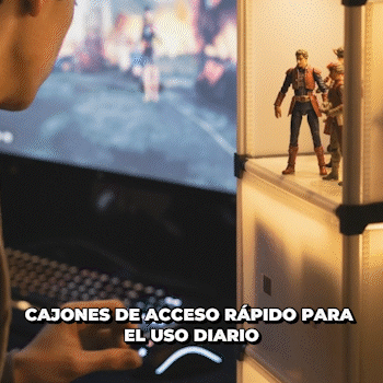ORGANIZADOR MULTIFUNCIONAL APILABLE